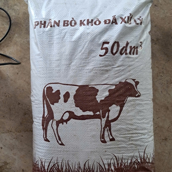 Phân bò ủ hoai